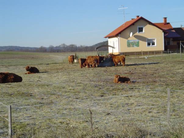Ekološka kmetija Rengeo, Gorička ves - Slika1