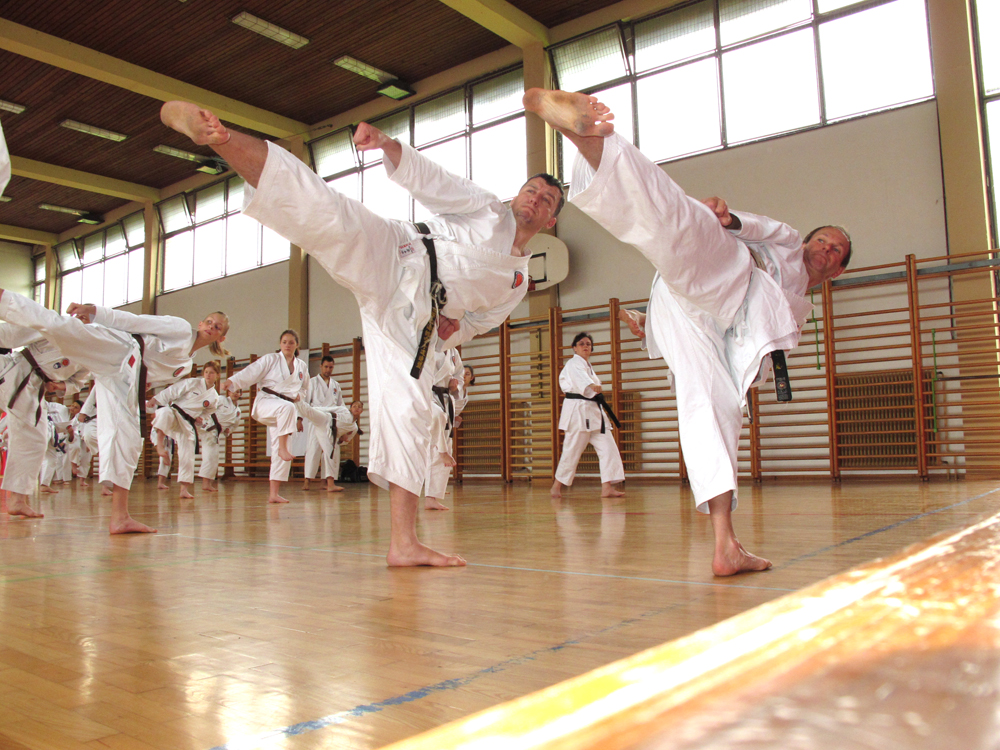 Karate društvo ATOM Shotokan-Do Domžale - Slika4