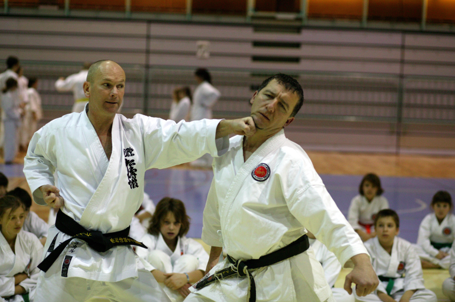 Karate društvo ATOM Shotokan-Do Domžale - Slika6